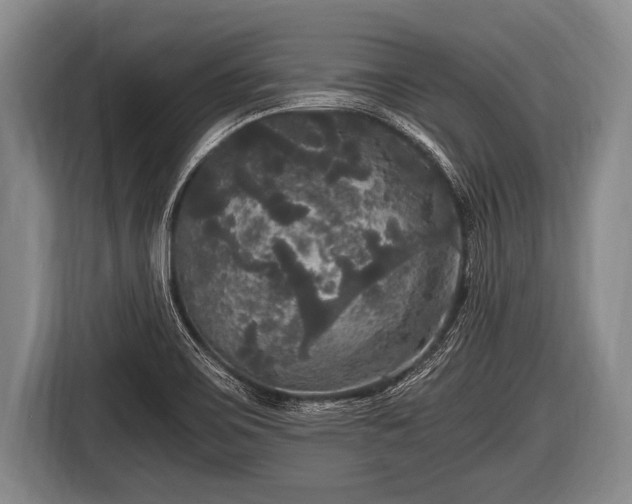 X0000116801467200912241151