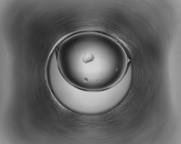 X0000116801468200912241151