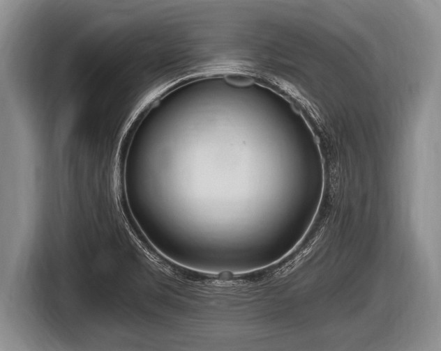 X0000116801469200912241151