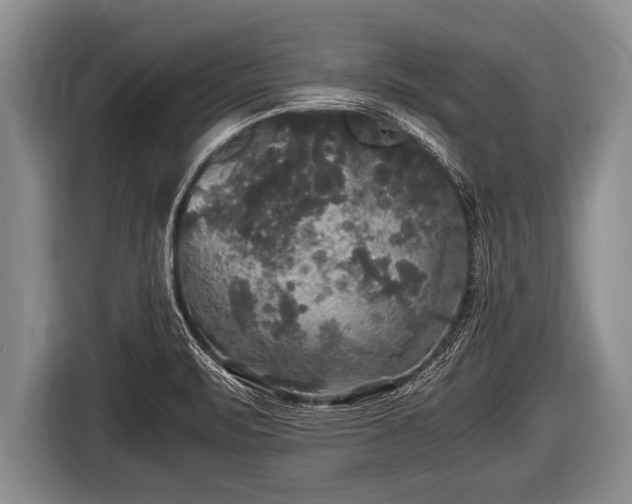 X0000116801471200912241151