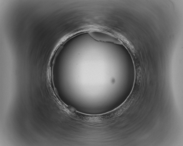 X0000116801472200912241151