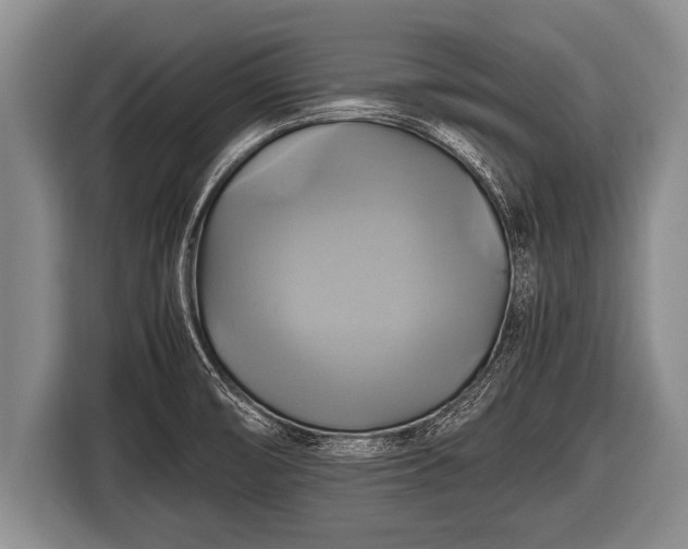 X0000116801474200912241151