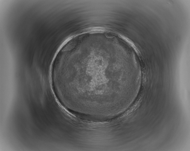 X0000116801475200912241151