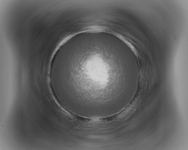 X0000116801477200912241151