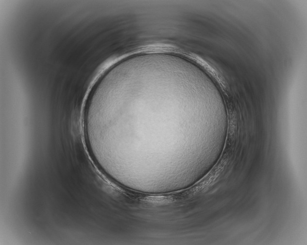 X0000116801478200912241151