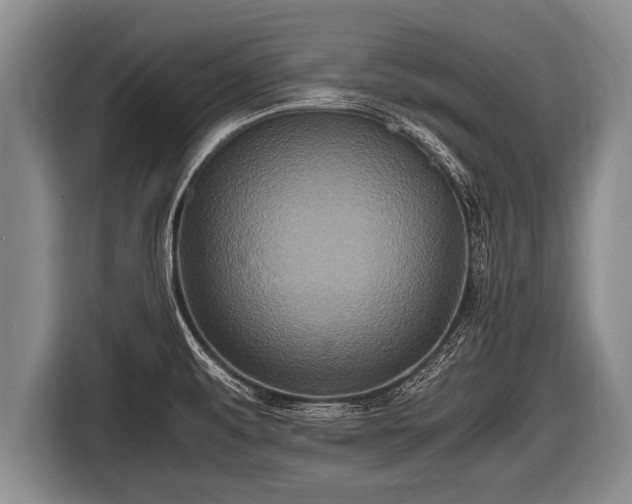 X0000116801479200912241151