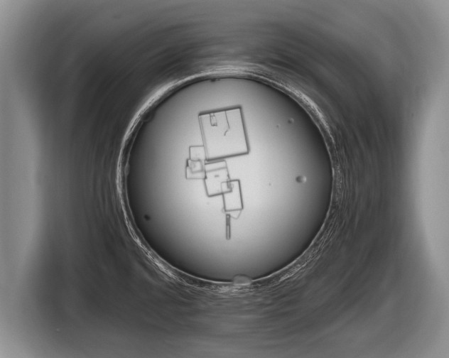 X0000116801480200912241151