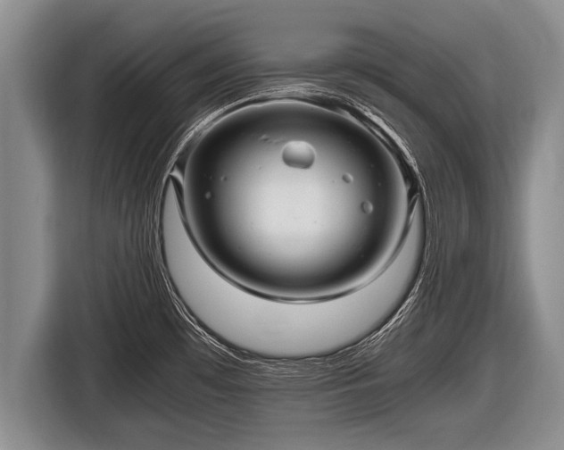 X0000116801481200912241151