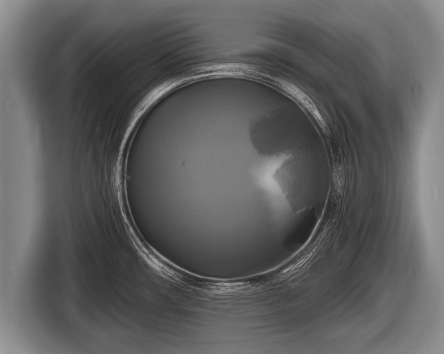 X0000116801482200912241151