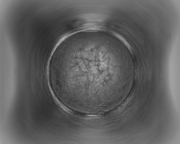 X0000116801483200912241151