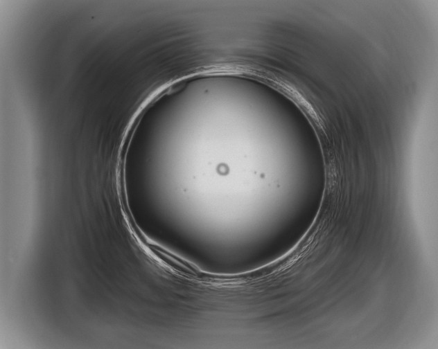 X0000116801484200912241151