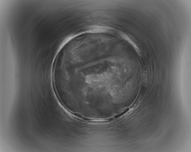 X0000116801487200912241151