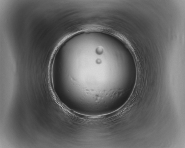 X0000116801488200912241151