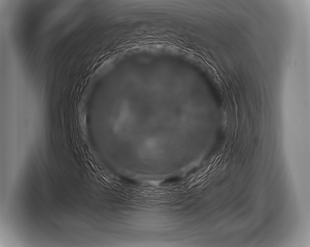 X0000116801489200912241151