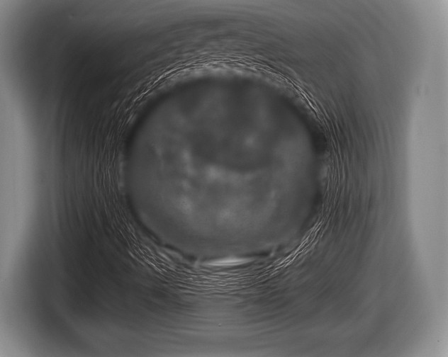 X0000116801490200912241151