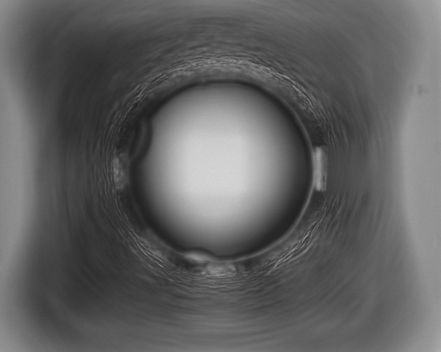 X0000116801491200912241151