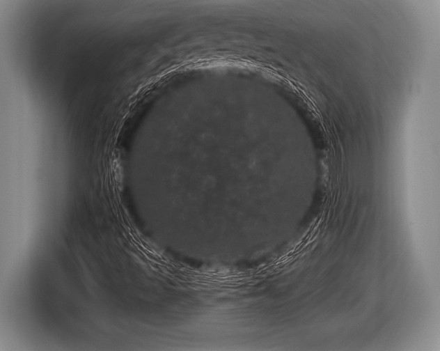 X0000116801493200912241151