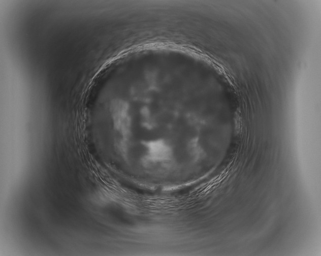 X0000116801494200912241151