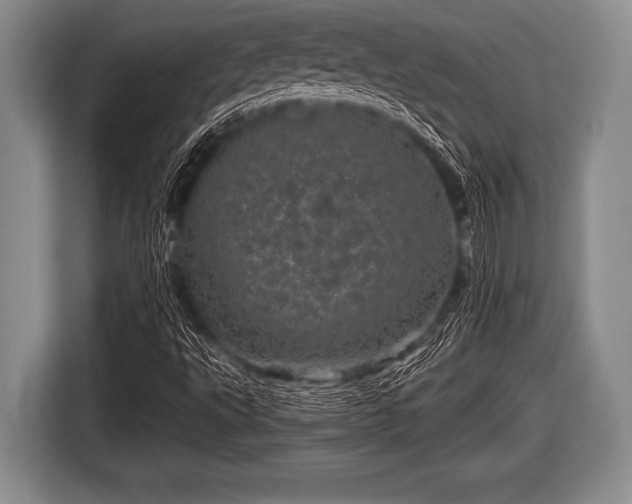 X0000116801495200912241151