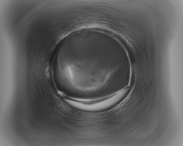 X0000116801497200912241151