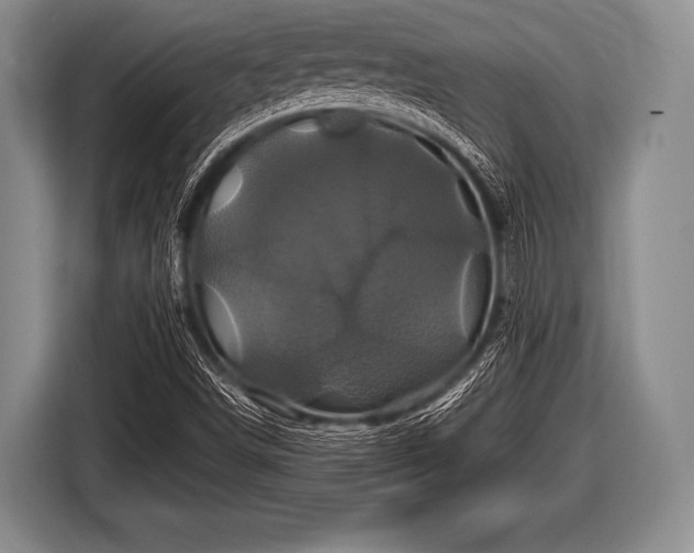 X0000116801498200912241151