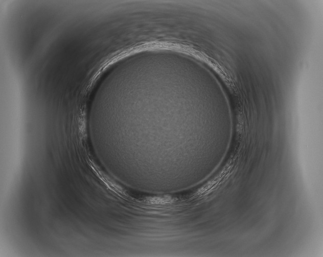 X0000116801499200912241151