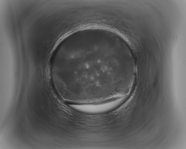 X0000116801501200912241151