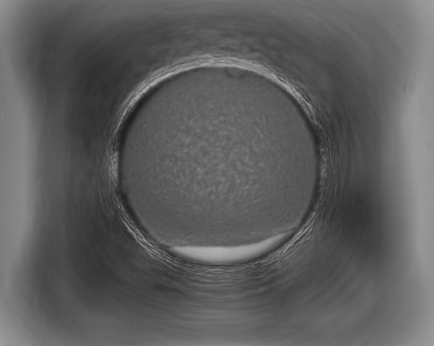 X0000116801503200912241151