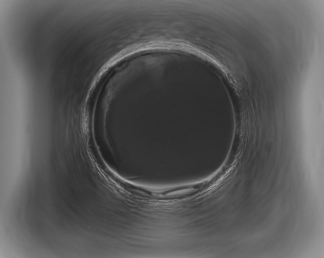 X0000116801506200912241151