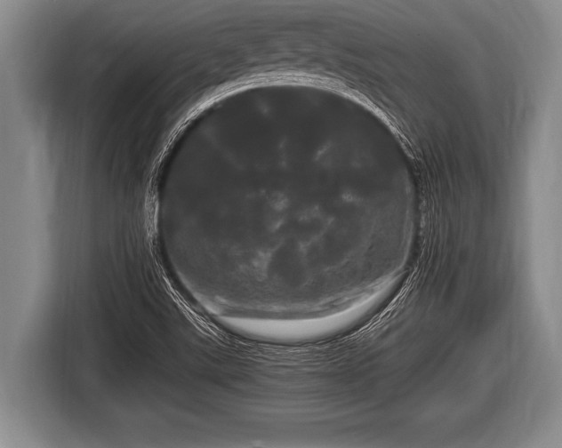 X0000116801507200912241151