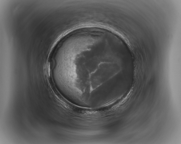 X0000116801509200912241151