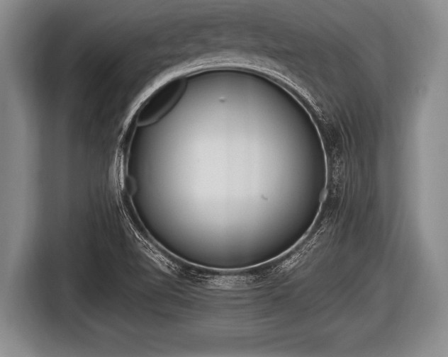 X0000116801510200912241151