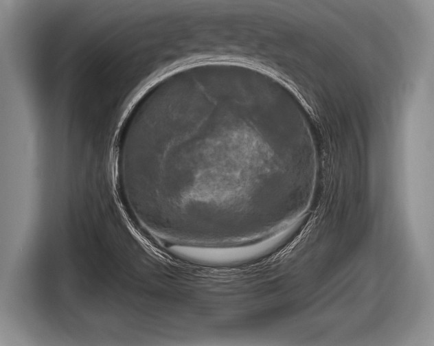 X0000116801511200912241151