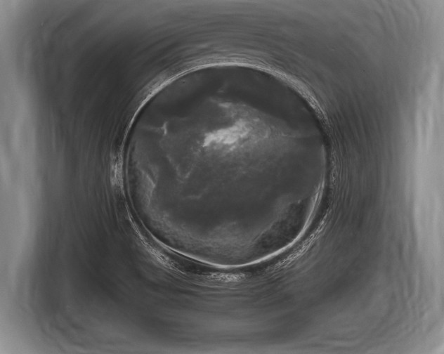 X0000116801513200912241151