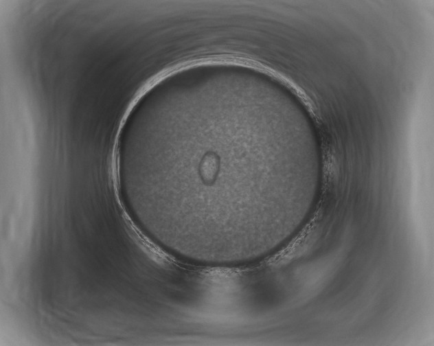 X0000116801514200912241151