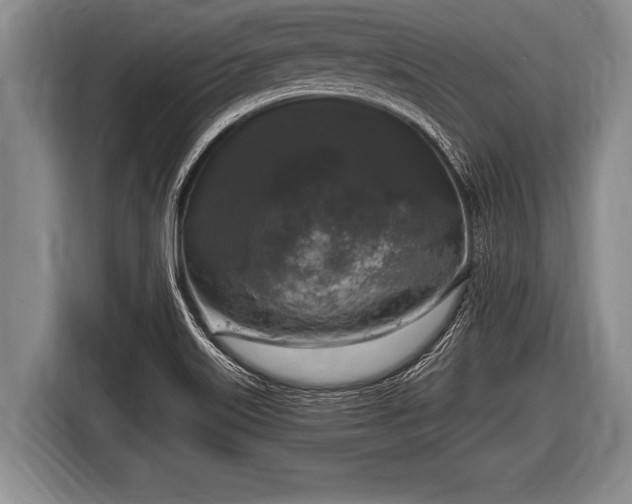 X0000116801515200912241151