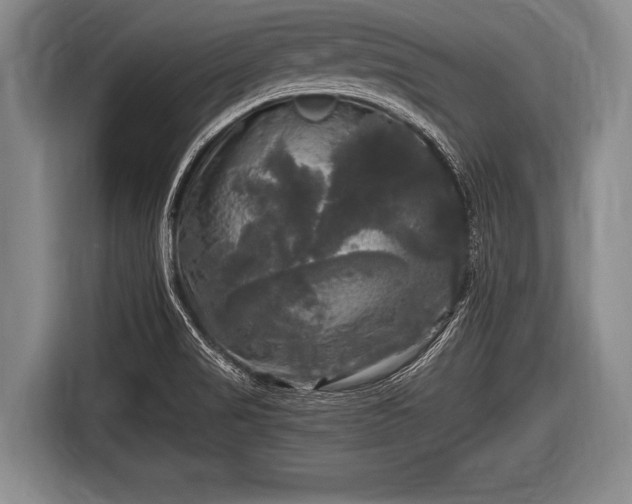 X0000116801517200912241151