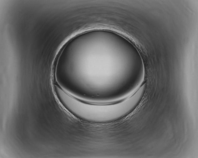 X0000116801518200912241151