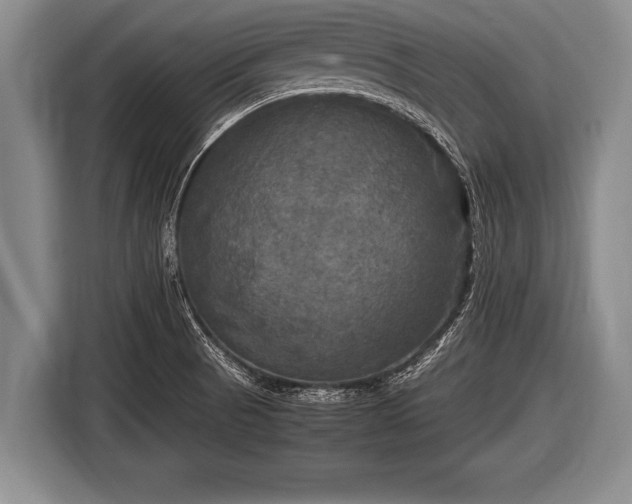 X0000116801521200912241151