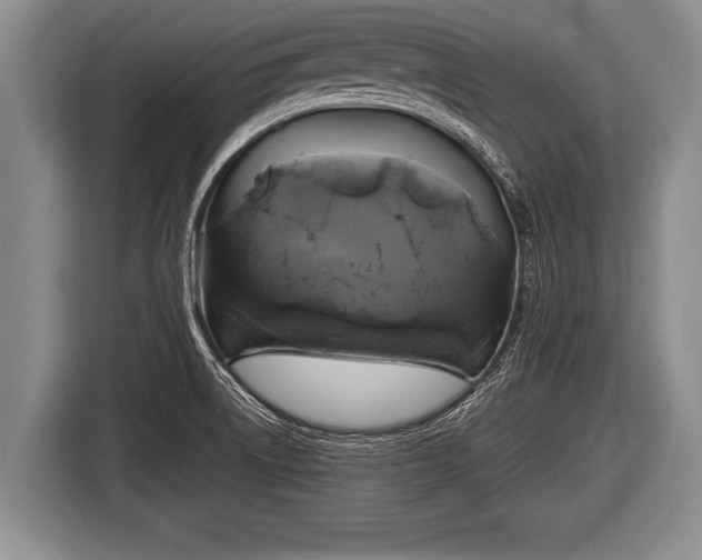 X0000116801522200912241151