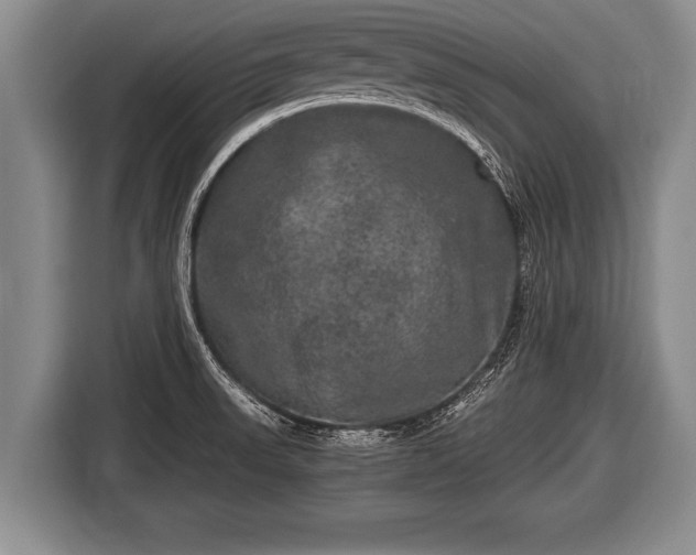 X0000116801523200912241151