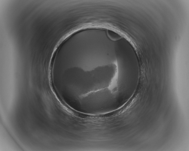 X0000116801525200912241151