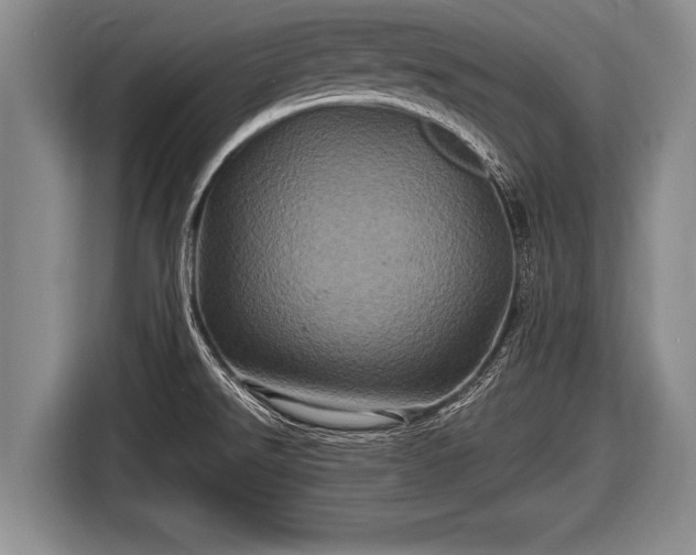 X0000116801526200912241151