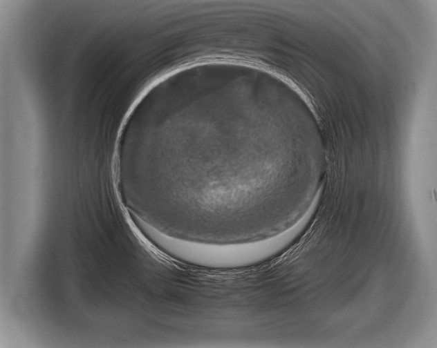 X0000116801531200912241151