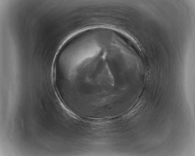 X0000116801535200912241151