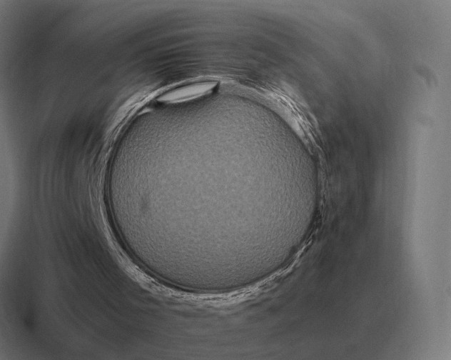 X0000116800001200912311945