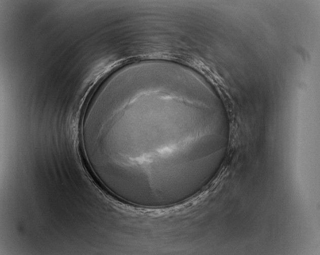 X0000116800002200912311945