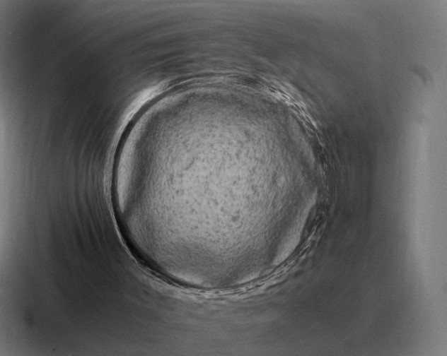 X0000116800003200912311945