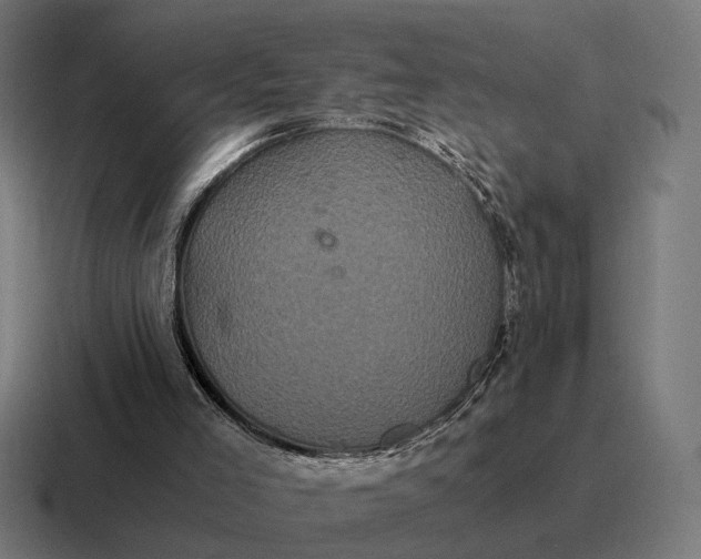 X0000116800005200912311945