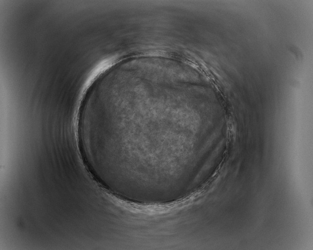 X0000116800006200912311945